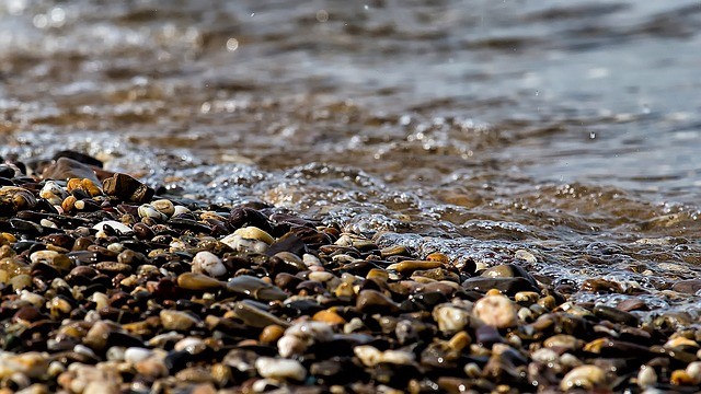 В Приморье ухудшается экологическое состояние реки из-за добычи золота — WWF