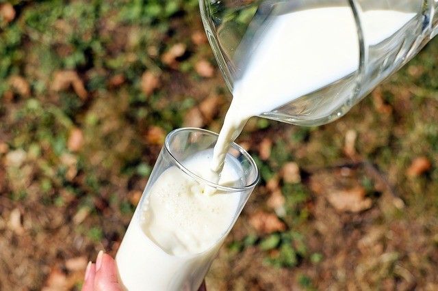 Власти Подмосковья нацелились на увеличение объёма производства молока