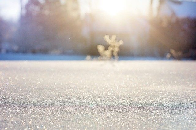 Зима не отступает: более 200 единиц снегоуборочной техники вышло на расчистку дорог в Приморье