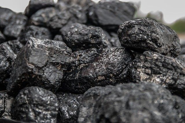 Во Владивостоке распространяют петицию с просьбой сохранить перевалку угля в ВМТП