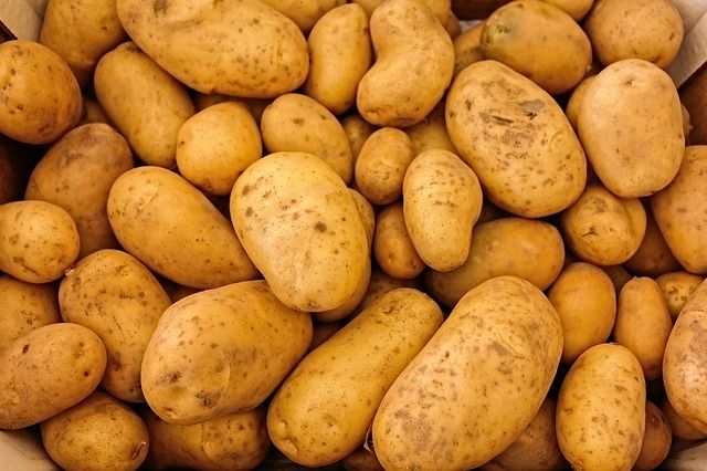 Более четырёх тысяч тонн картофеля из трёх стран ввезли в Приморье с начала 2021 года