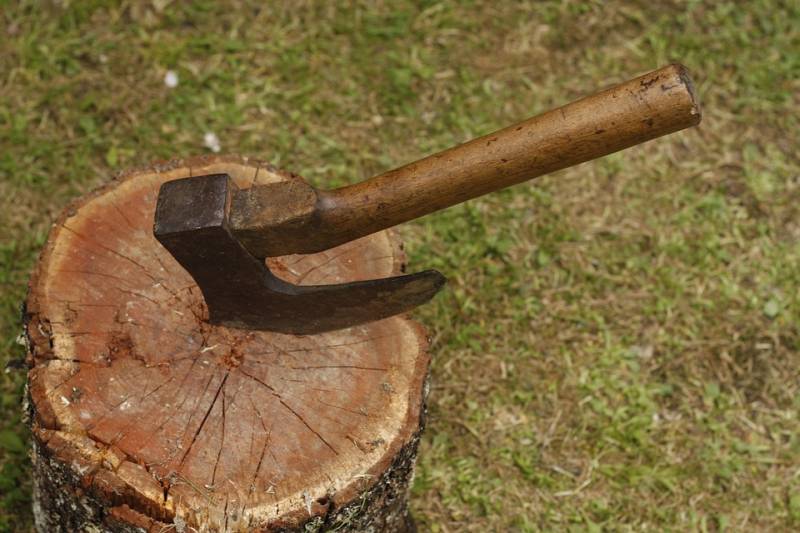 Чиновник и вальщик леса погибли на рабочих местах в Приморье