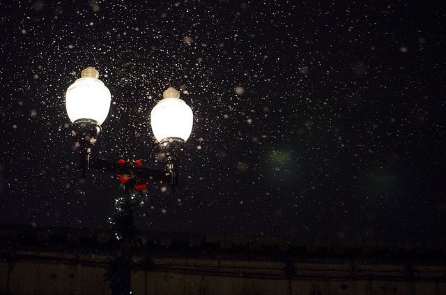 Уличные фонари возобновят работу в Покровском парке Владивостока