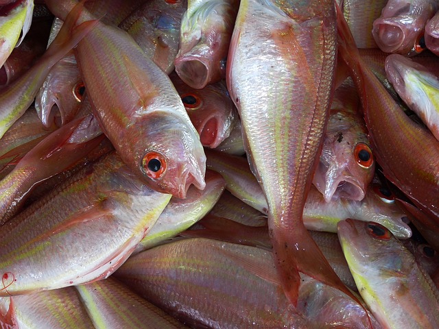 В Приморье в январе-феврале 2018 года оптовые поставщики продали 38 тысяч тонн рыбы