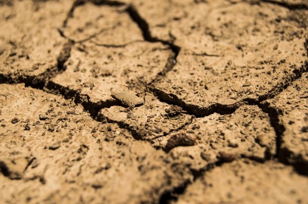 «Приморский бекон» наказали за причинение вреда почвам