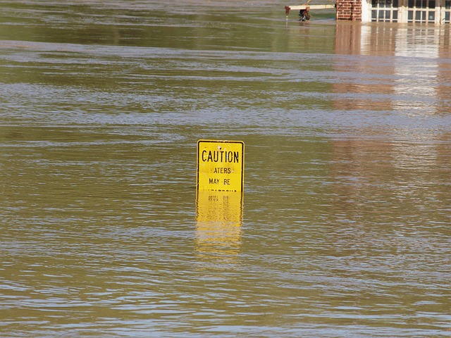 Наводнение в Приморье: прогноз на 26 августа