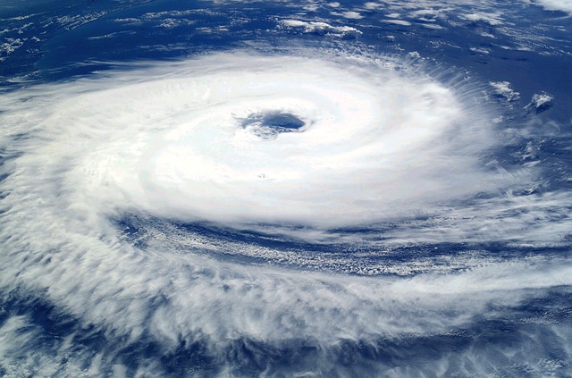Тайфун «Талим» нагрянет в Приморье 18 сентября