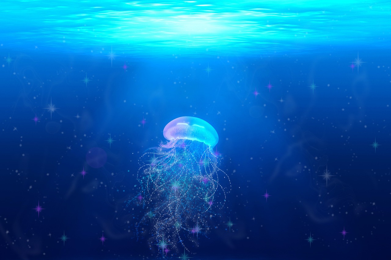 Приморский океанариум стал претендентом на проведение III Международной конференции по медузам