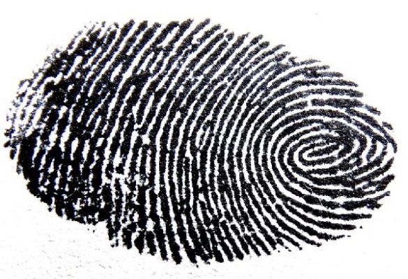 В Приморье полицейские нашли подозреваемого в угоне машины по отпечаткам пальцев