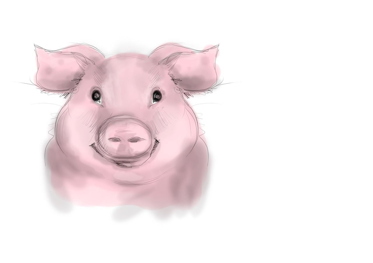 Экологически чистую свинину намерены экспортировать из Приморья в Китай, Японию и Южную Корею