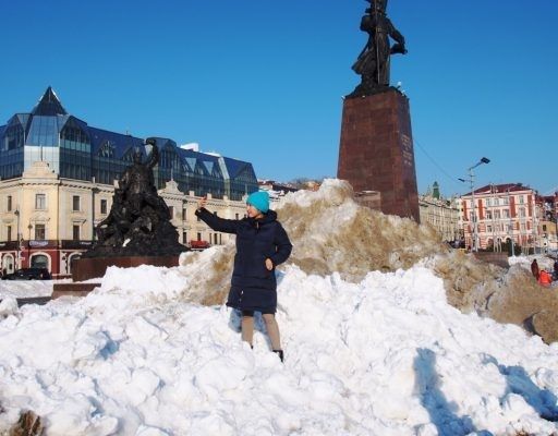 Глава Владивостока обнаружил на складе неиспользующиеся снегоплавильные установки