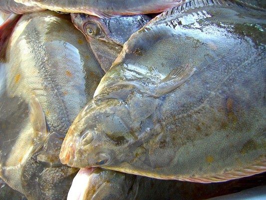 В Приморье запретили придорожную торговлю рыбой. Подробности