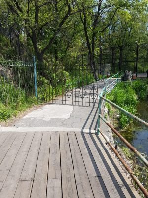 Во Владивостоке отремонтируют беговые дорожки озера Чан