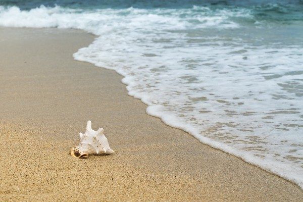 Уже 61 пляж в Приморье признали безопасным для отдыха