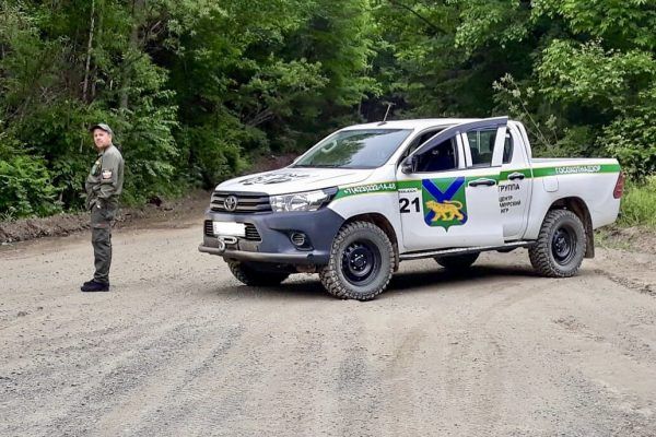 Второй квартал 2018 года в Приморье обошёлся без громких задержаний браконьеров в лесах