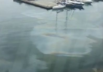В преддверии Дня ВМФ во Владивостоке обнаружили разлив нефтепродуктов в море