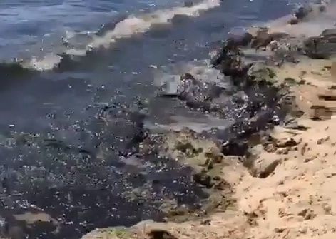 «Мазут по всему берегу»: шокирующее видео записал житель Приморья