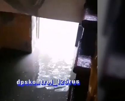 Кошмарное ДТП в Приморье: седан «залетел» под грузовик, людей зажало в салоне