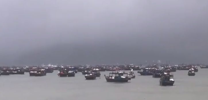 Впечатляющее зрелище: сотни северокорейских шхун укрылись от шторма в Приморье