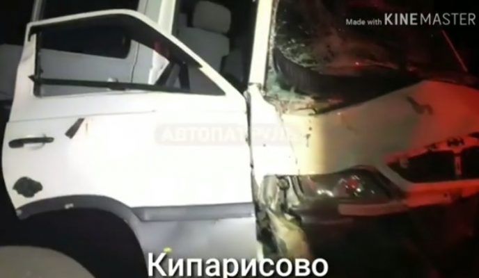 В Приморье автомобиль получил катастрофические повреждения после столкновения с коровами