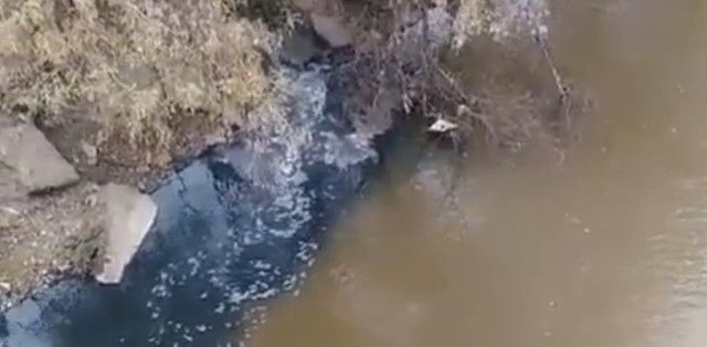 Приморцев ужаснуло видео со сливом нечистот в водоём