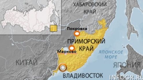 Пункт пропуска Марково в Приморье может перейти на семидневный режим — Росгранстрой
