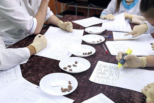 Во владивостокском вузе устроили дегустанцию шоколада известных марок