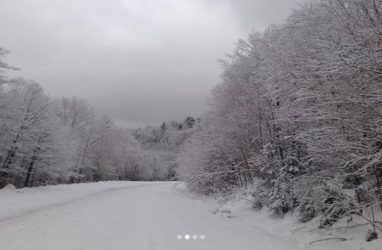 «Весь приморский снег у нас»: автомобилист поделился красивыми зимними кадрами