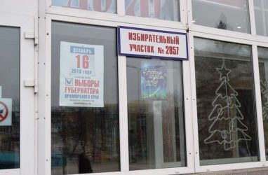 Выборы губернатора Приморья: после подсчёта 30% голосов лидирует Кожемяко