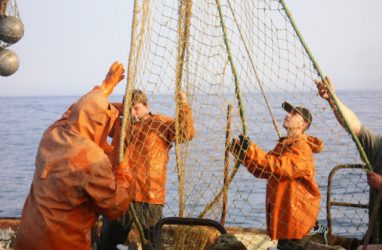 На 79% проверенных предприятий рыбохозяйственной отрасли Приморья нашли нарушения