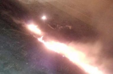 Косогор загорелся во Владивостоке от пусков пиротехники