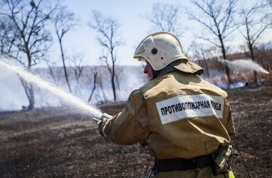 За сутки в Приморье потушили 10 лесных пожаров