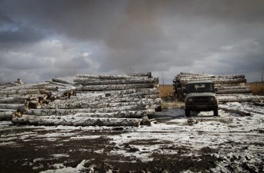 В Приморье энергетики и лесозаготовители обратились в прокуратуру за защитой своих прав