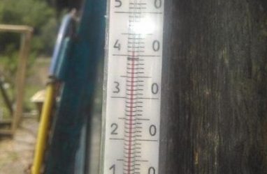 В Приморье потеплело до 50 градусов по Цельсию — очевидцы