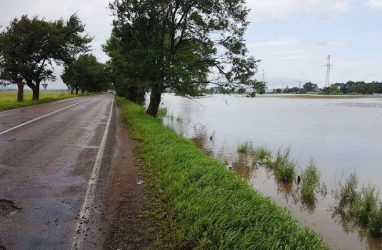Ситуация на реках Приморья 18 августа остаётся сложной — Примгидромет