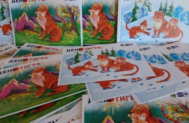 Участники Дня тигра смогут бесплатно отправить почтовые открытки из Владивостока в любую точку мира