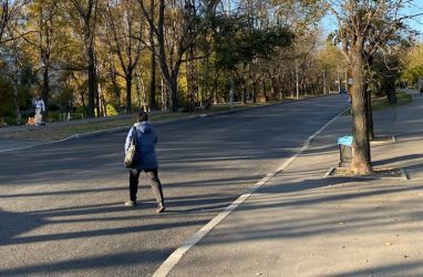 Жители Владивостока возмущены: после ремонта дороги «пропал» пешеходный переход