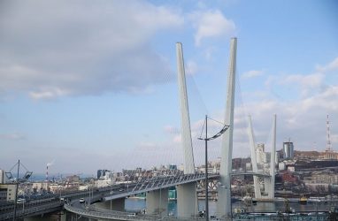 Власти Приморья нашли подрядчика на обслуживание системы мониторинга состояния моста через бухту Золотой Рог