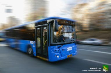 Во Владивостоке определили перевозчика на электробусный маршрут