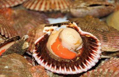 Ещё 171 кг рыбы и морепродуктов уничтожат в Приморье