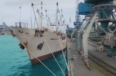 Для Владивостокского морского рыбного порта 2019 год стал рекордным