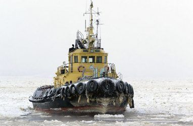 Флотские буксиры пришлось задействовать в двух бухтах в Приморье для обколки льда