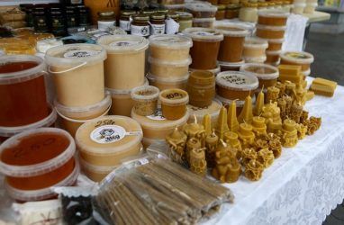 С начала 2020 года экспорт мёда из Приморья вырос почти на 20%