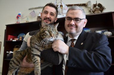 Толстый кот Виктор обогнал американского консула в сгонке веса