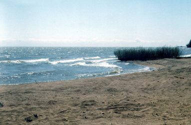 В Приморье займутся противопаводковыми мероприятиями на озере Ханка