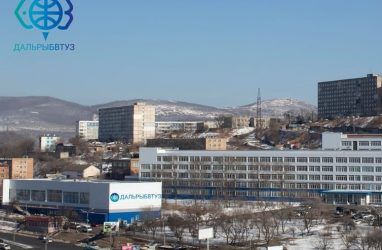 Корпус крупного университета Владивостока эвакуировали из-за подозрительных рюкзаков