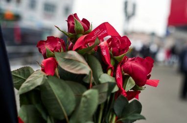 Во Владивостоке нелегальный торговец цветами напал на флориста