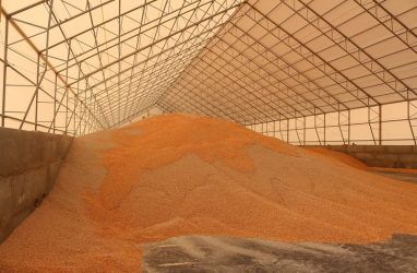 В Приморье в 2020 году более чем на 10% вырос экспорт зерновых и продуктов из них