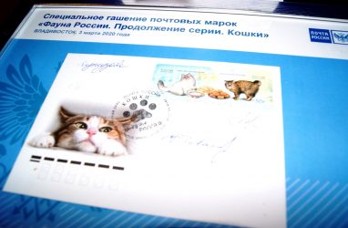 Во Владивостоке прошло специальное гашение почтовых марок «Фауна России. Кошки»