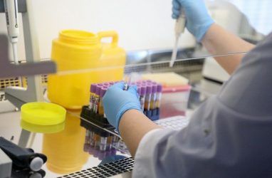 Более 23 тысяч человек обследовали на коронавирус в Приморье